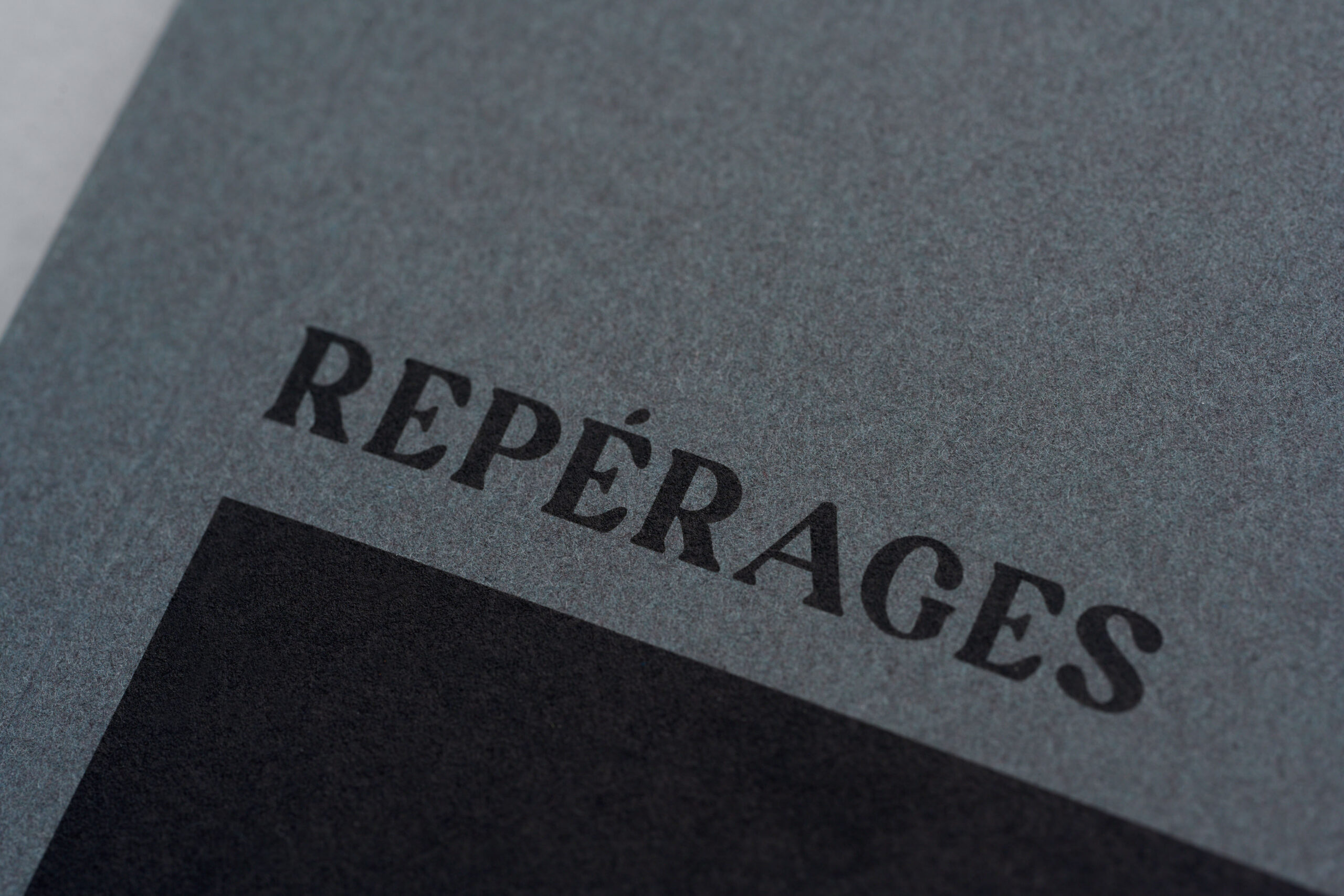 №07. REPÉRAGES (PURESU DE TOKYO) - Image 3