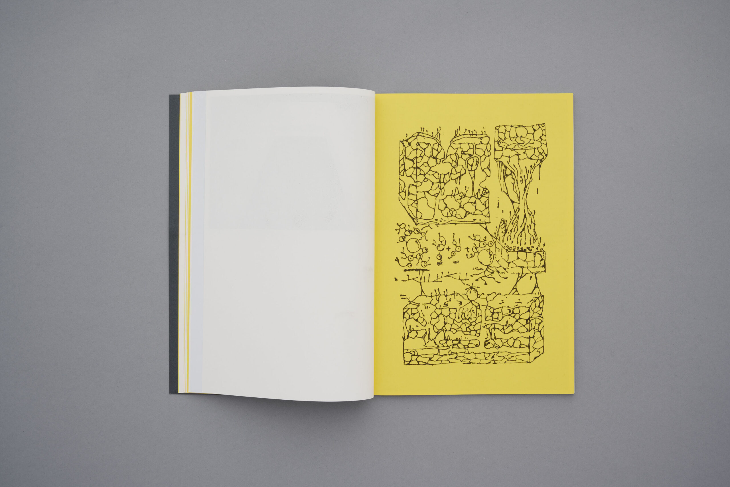 №07. REPÉRAGES (PURESU DE TOKYO) - Image 11