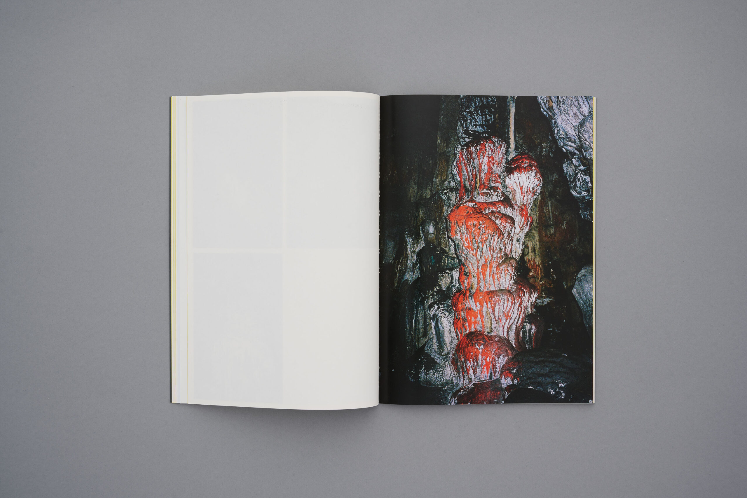 №07. REPÉRAGES (PURESU DE TOKYO) - Image 10