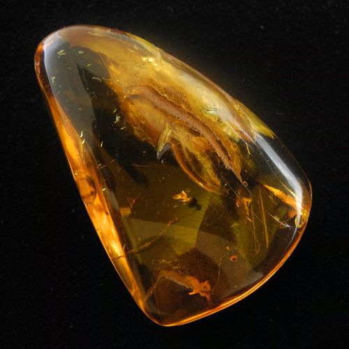 №06. L'AMBRE D'ALLTAR TEE *out of stock ❌ - Image 7